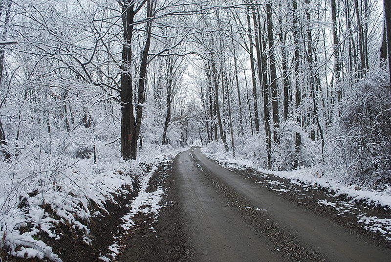Davisburg
