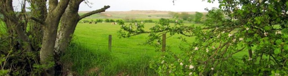 Wauconda