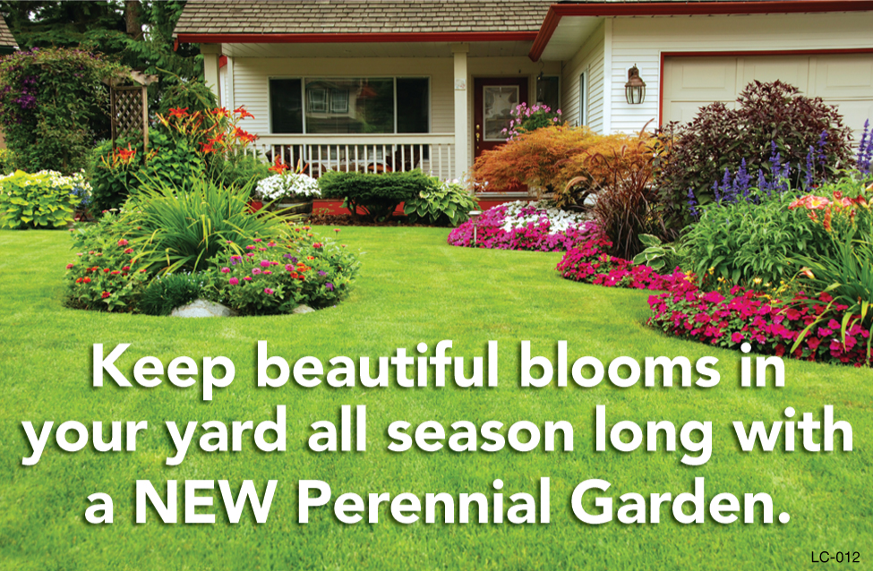 Keep Beautiful Blooms In Your Yard All Season Long