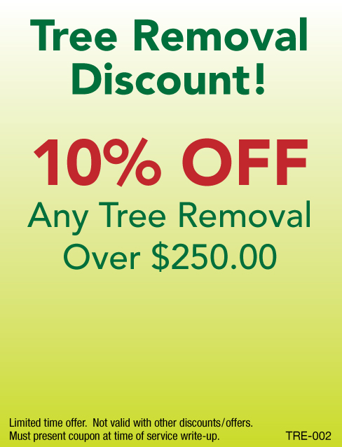 10% Off Any Tree Removal Over $250