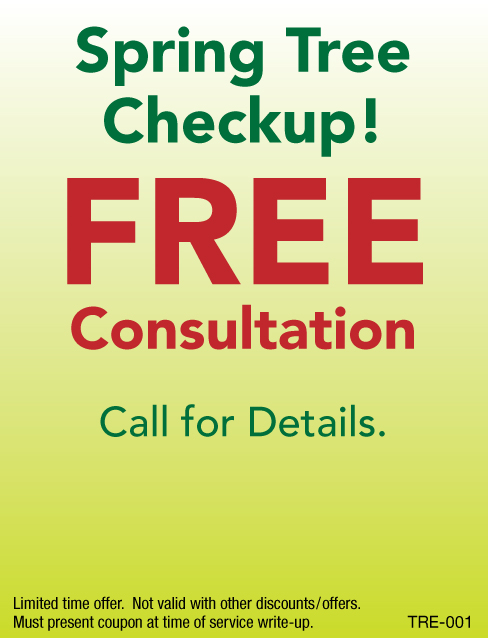 FREE Consultation, Spring Tree Checkup!