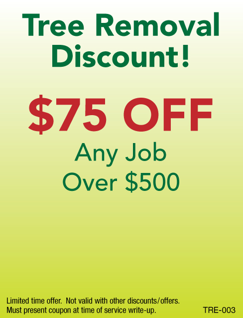 $75 Off Tree Removal Job Over $500