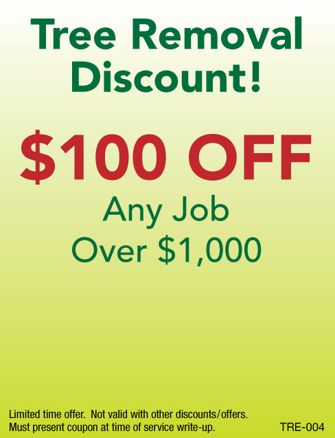 $100 Off Tree Removal Job Over $1000