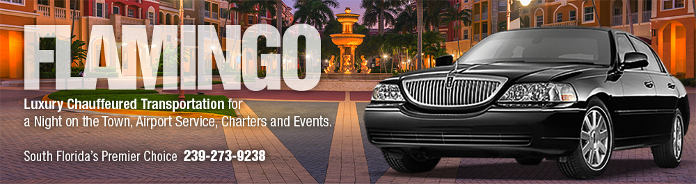 Flamingo Transportation and Limo Service: Naples, Florida 