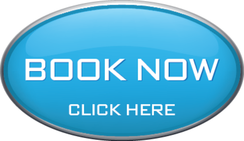 Baseball Lessons Farmington Hills, Mi