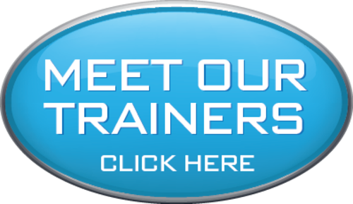 Baseball Instructors Farmington Hills