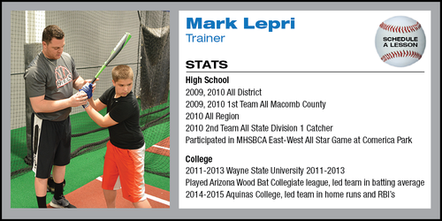 Baseball Lessons Farmington Hills 